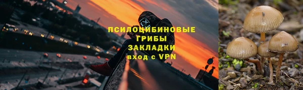 прущая мука Майский