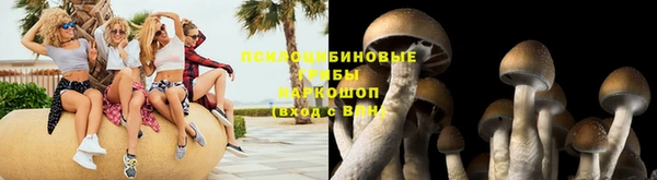 мет Магас