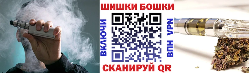 Канабис сатива продажа наркотиков Хвалынск